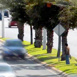 Infraestructura Verde en el Centro Histórico de Torreón