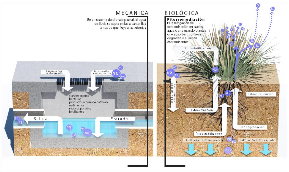 infraestructura verde