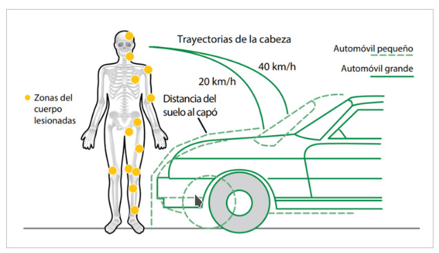 imagen seguridad vial