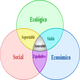 Torreón y los Objetivos del Desarrollo Sostenible