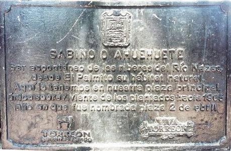 Placa en Plaza de Armas de Torreon en el sabino