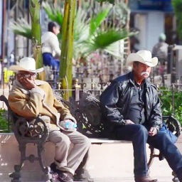 Situación social de los adultos mayores en La Laguna