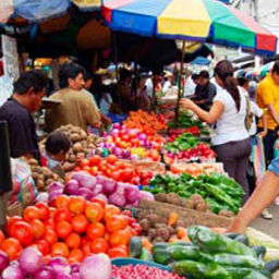 Tasa de inflación y precios en Torreón 2014