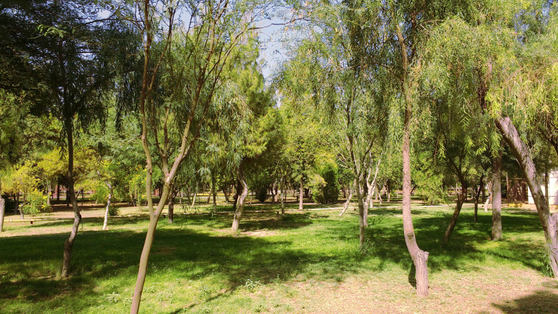 Parque Centenario Peñoles 2