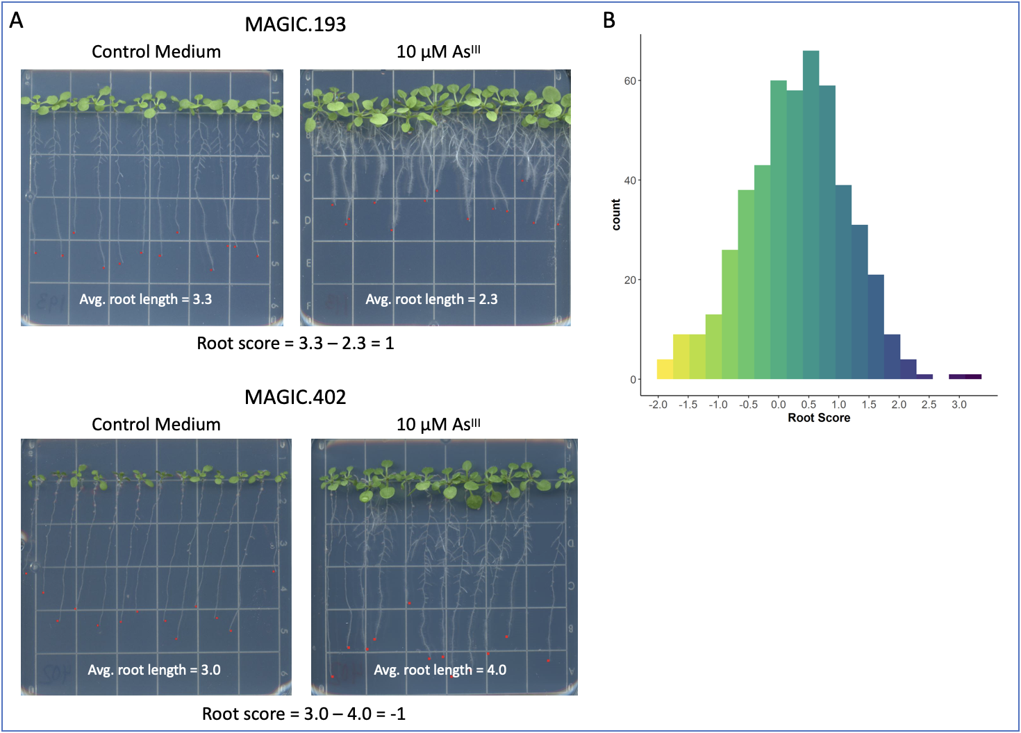 GitHub - TWarczak/thesis: thesis-work figures