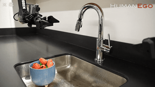 assets/infer_water_flowers.gif