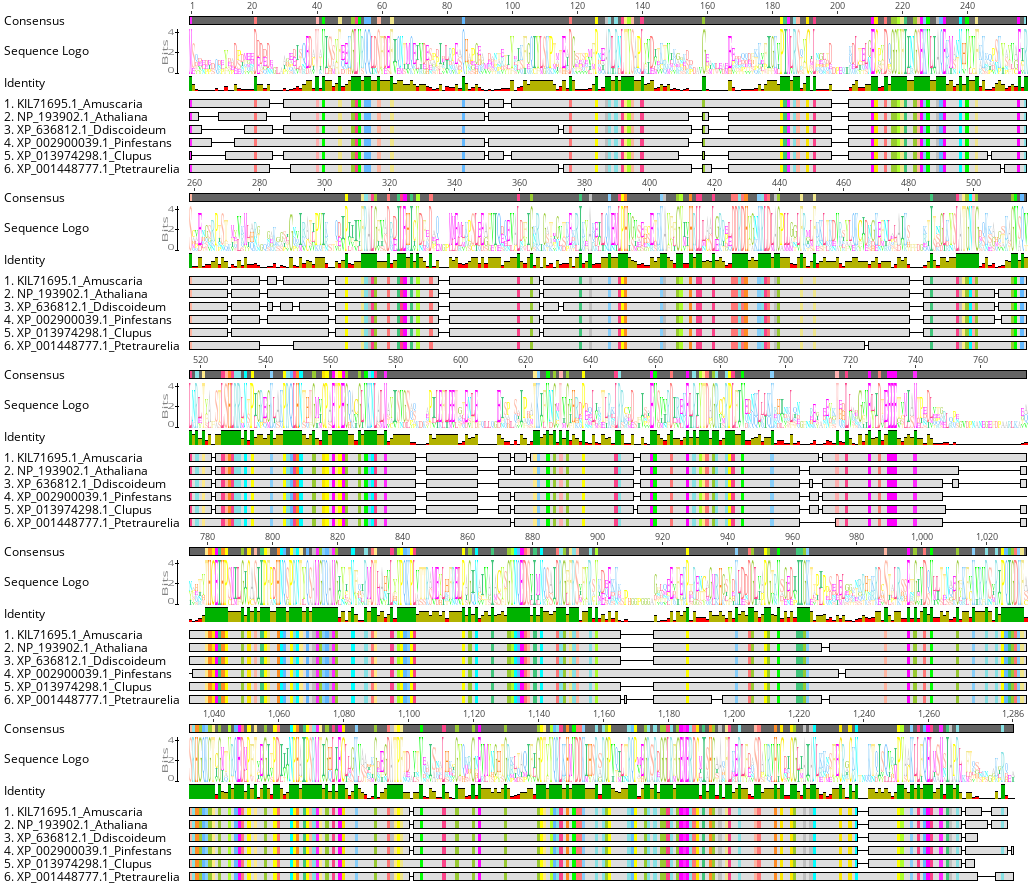 Multiple sequence alignment associated to OG0008354*