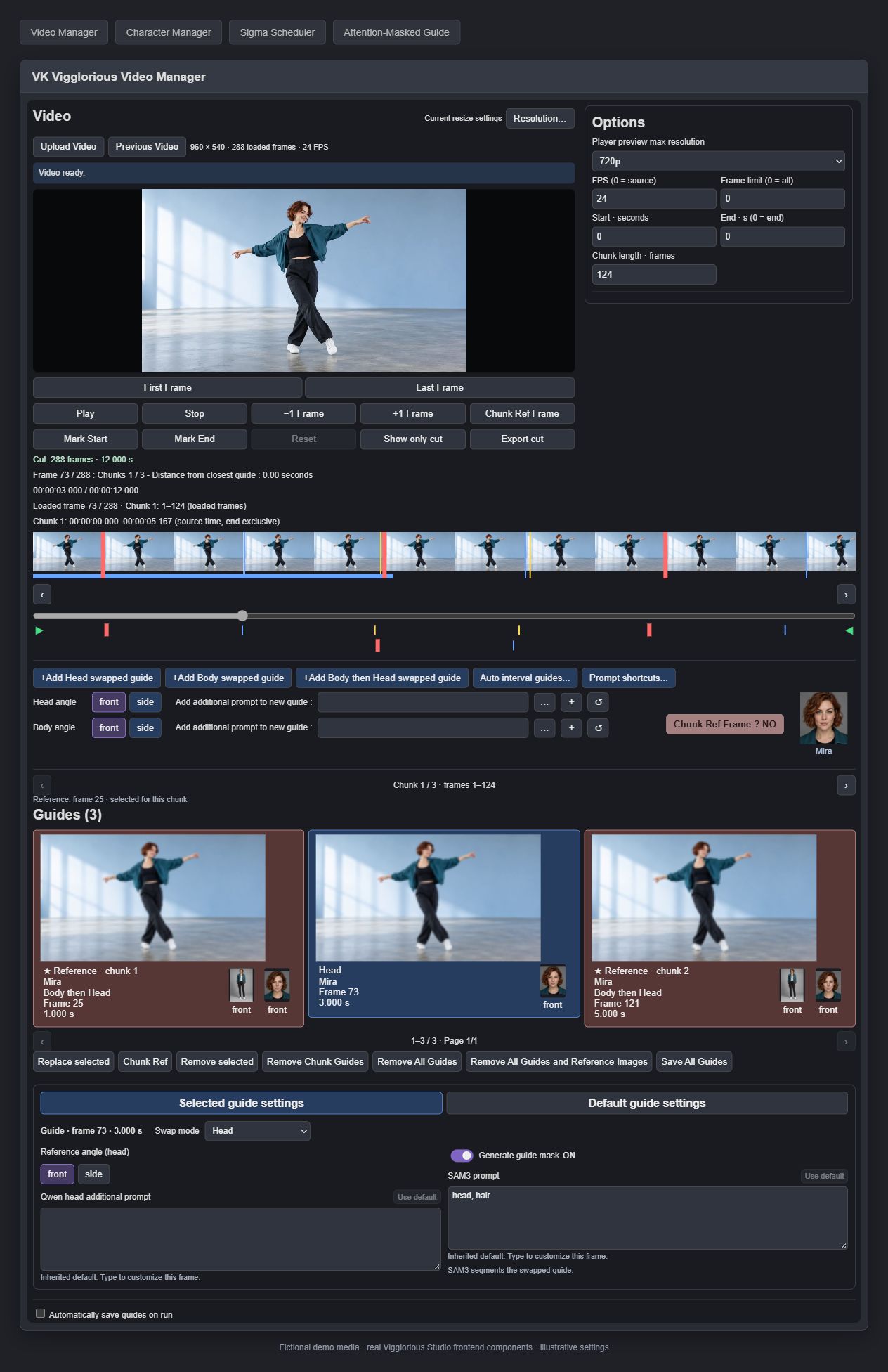 Video Manager with chunk references, guides and a fictional demo clip