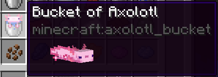 axolotl