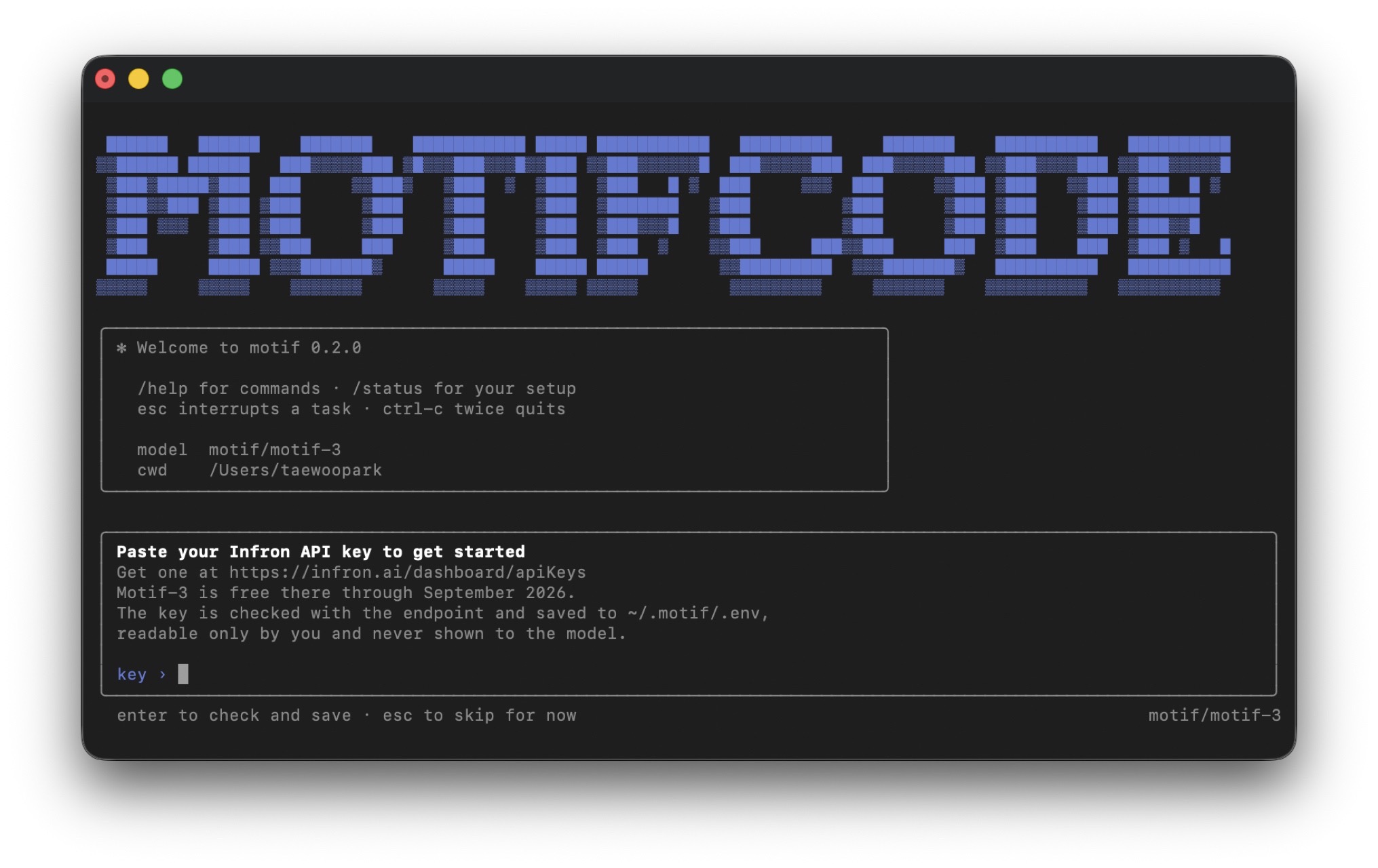 the first run asks for the API key