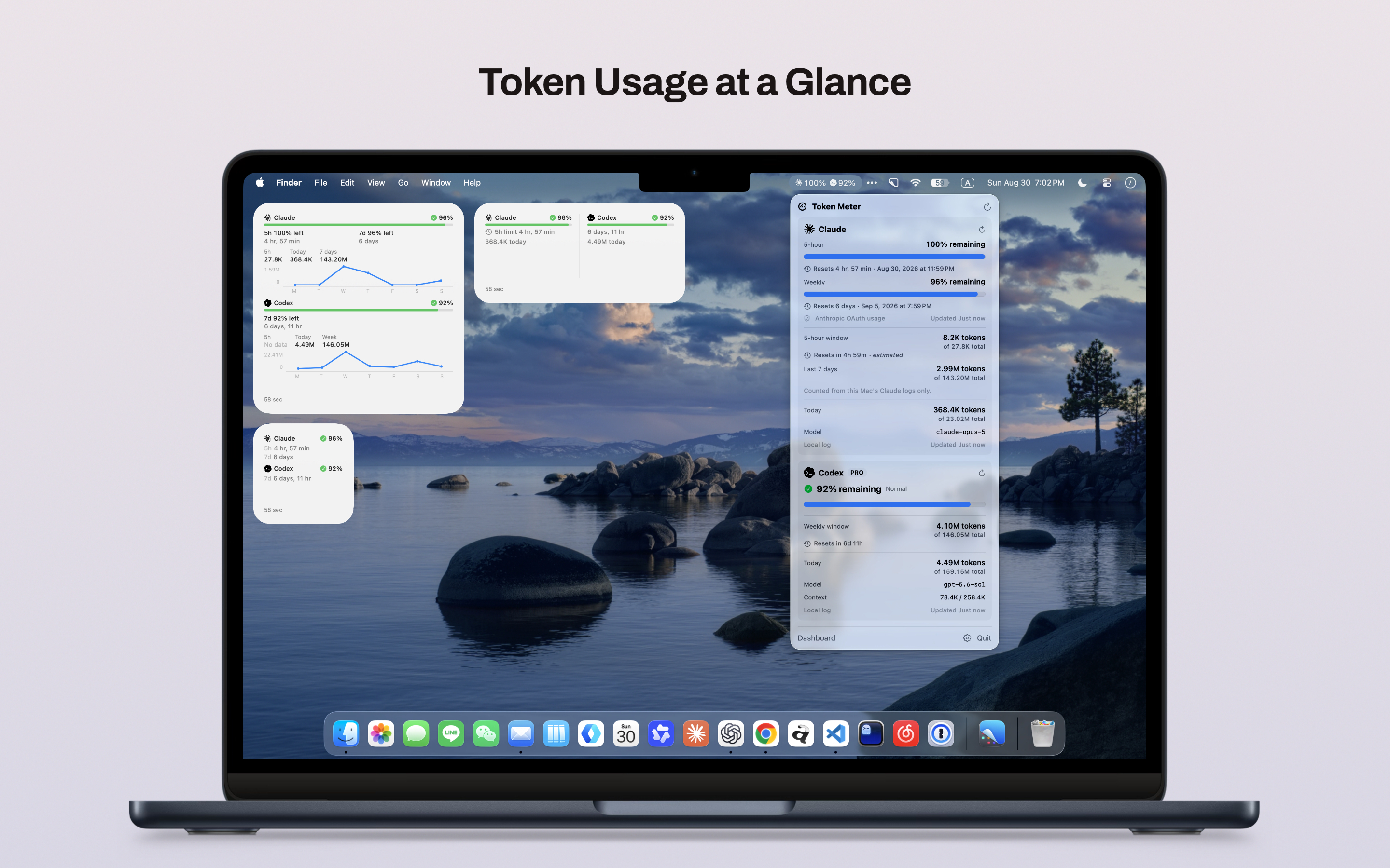 Token Meter usage dashboard for Claude Code and Codex