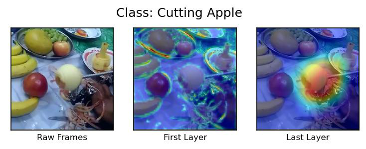 Visualization Cutting Apple