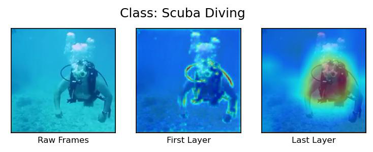 Visualization Scuba Diving