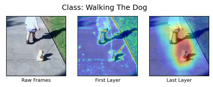 Visualization Walking the Dog