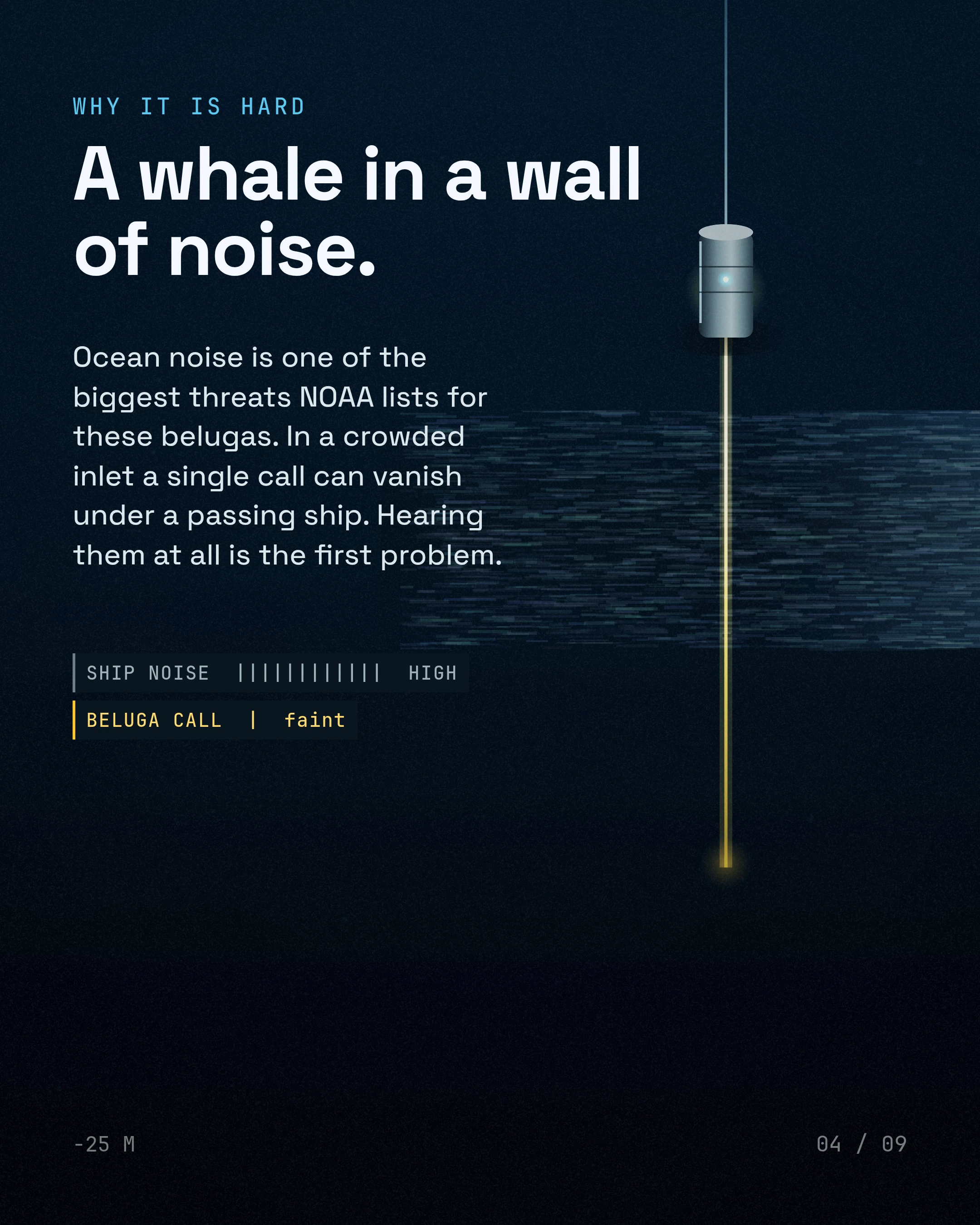 A whale in a wall of noise. Ocean noise is one of the biggest threats NOAA lists for these belugas. In a crowded inlet a single call can vanish under a passing 