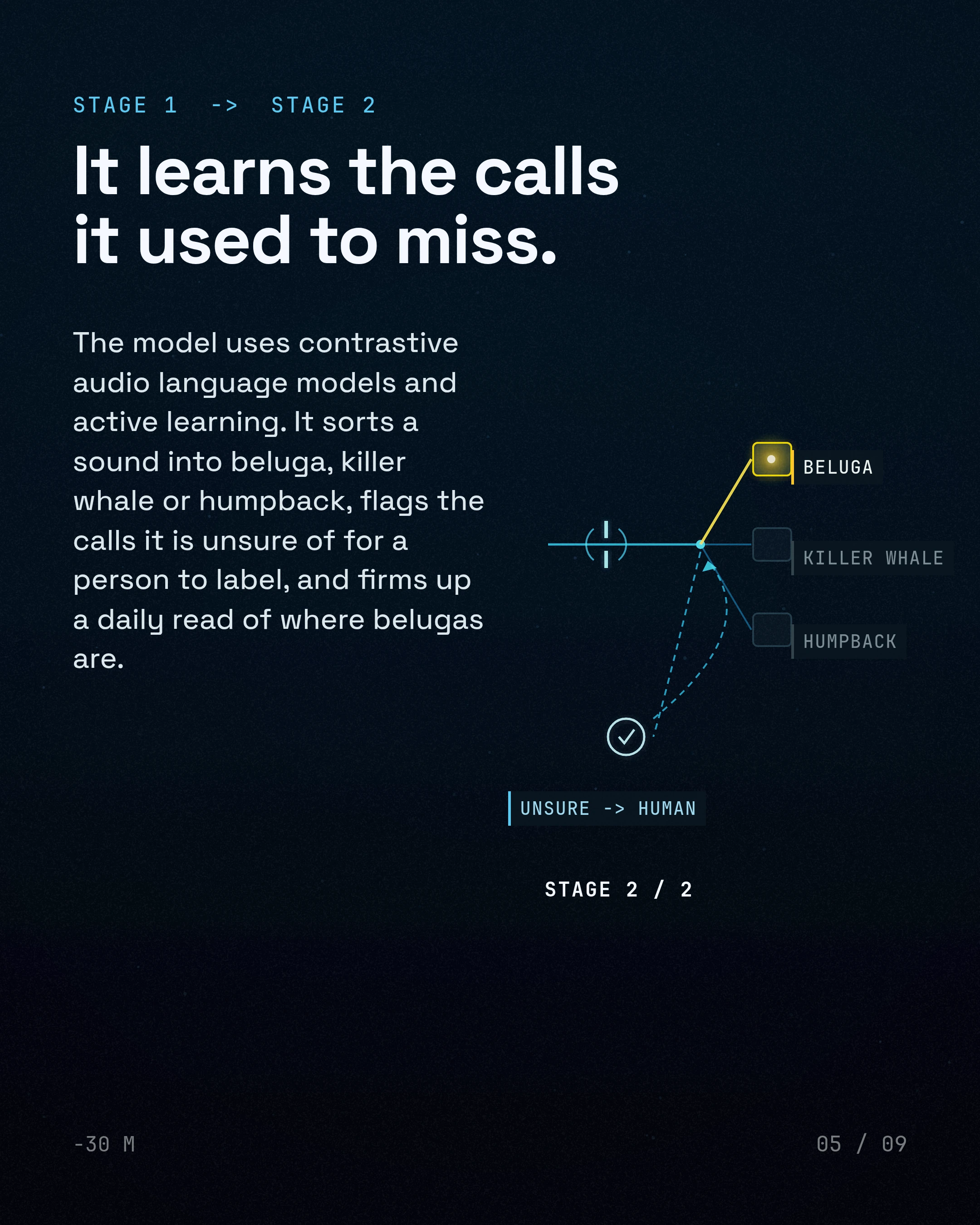 It learns the calls it used to miss. The model uses contrastive audio language models and active learning. It sorts a sound into beluga, killer whale or humpbac