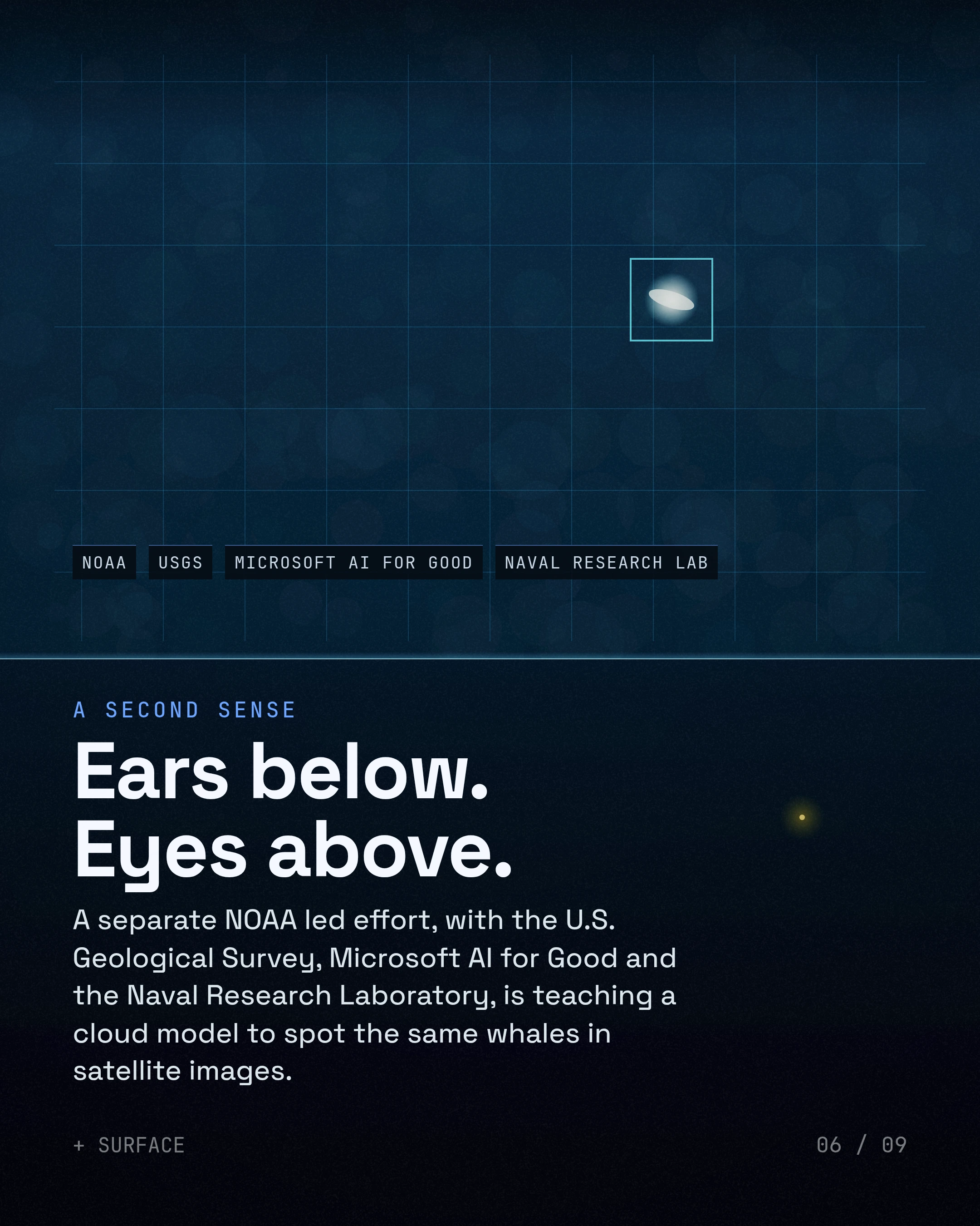 Ears below. Eyes above. A separate NOAA led effort, with the U.S. Geological Survey, Microsoft AI for Good and the Naval Research Laboratory, is teaching a clou