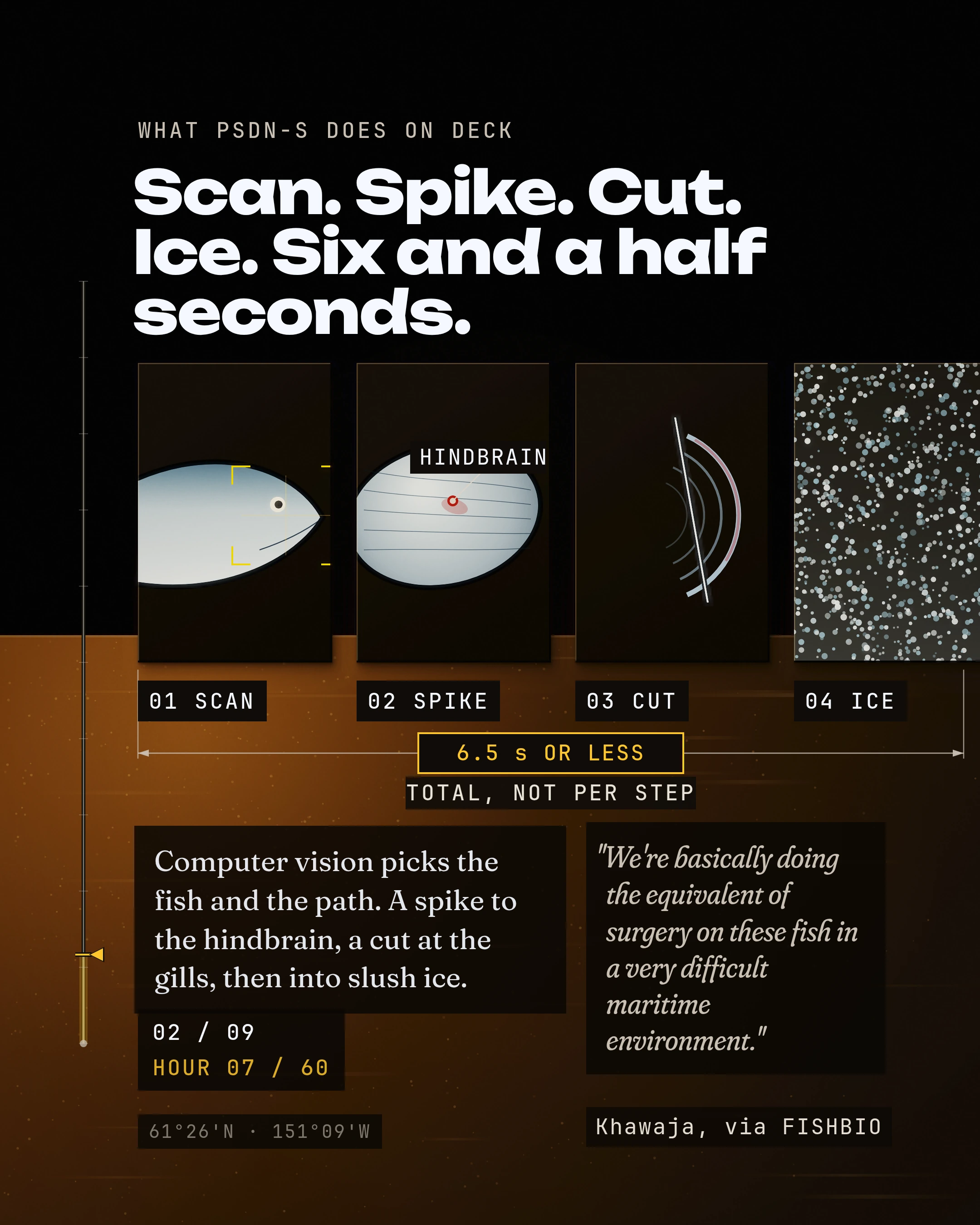 Scan. Spike. Cut. Ice. Six and a half seconds. Computer vision picks the fish and the path. A spike to the hindbrain, a cut at the gills, then into slush ice