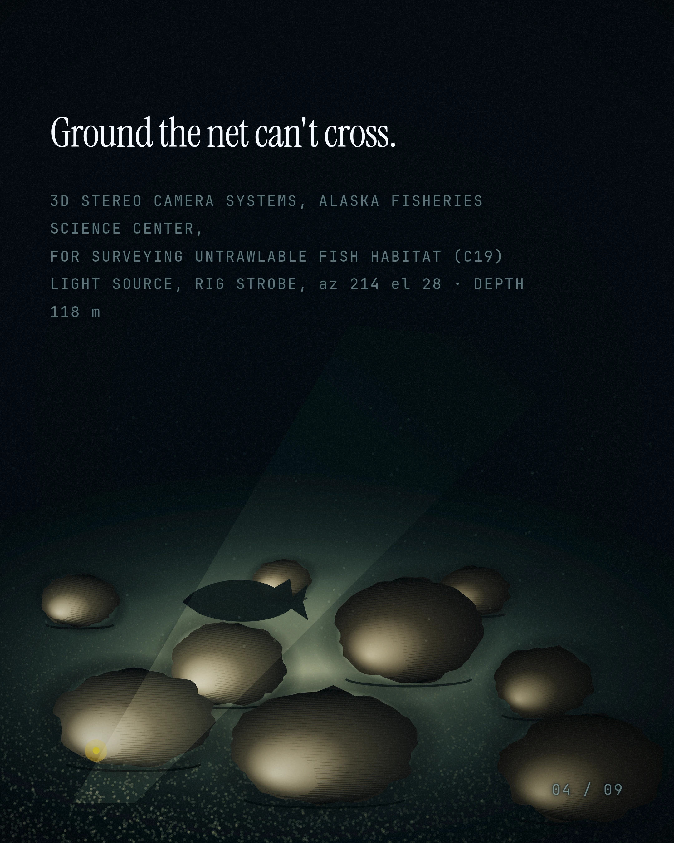 Ground the net can't cross