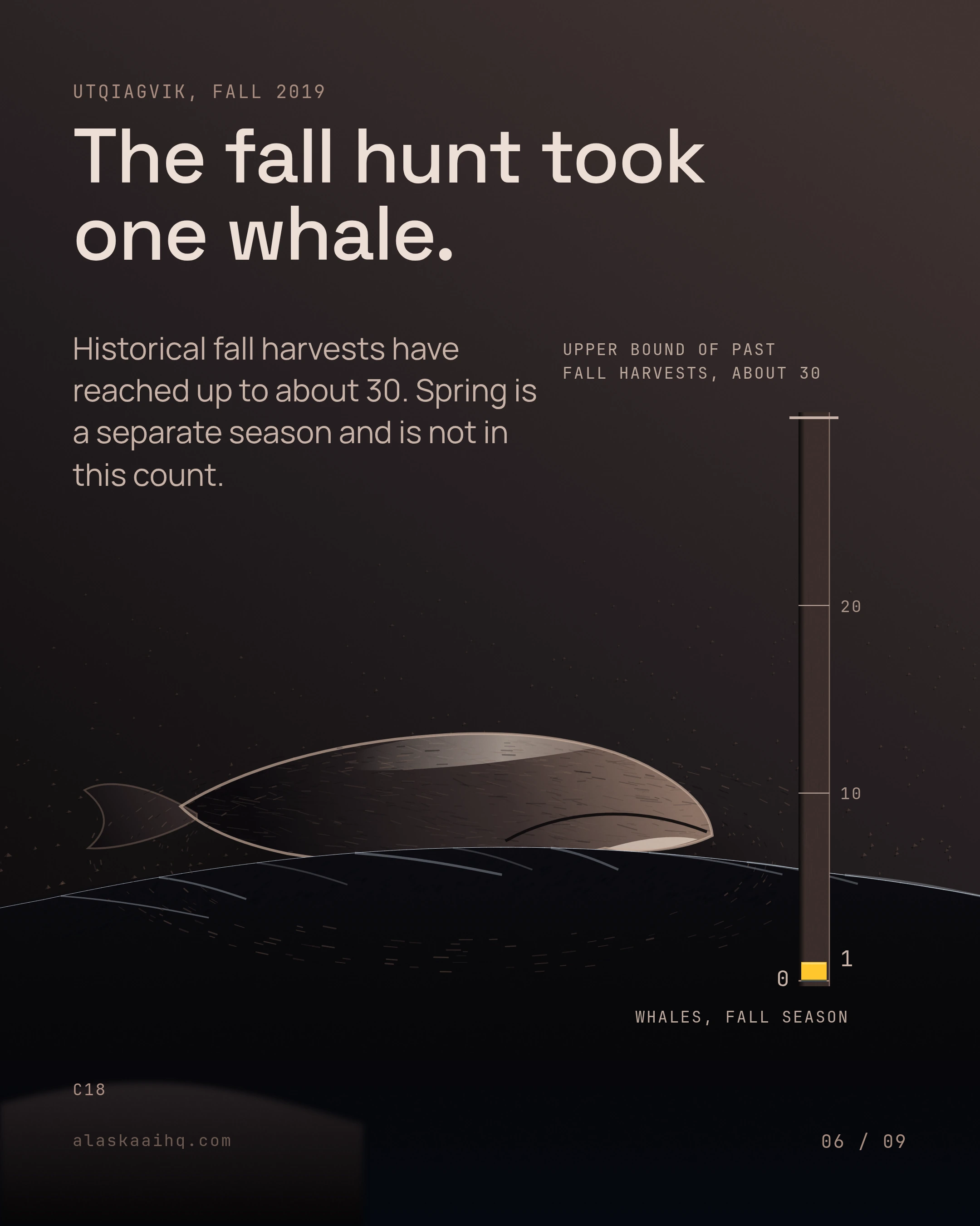 The fall hunt took one whale. Historical fall harvests have reached up to about 30. Spring is a separate season and is not in this count