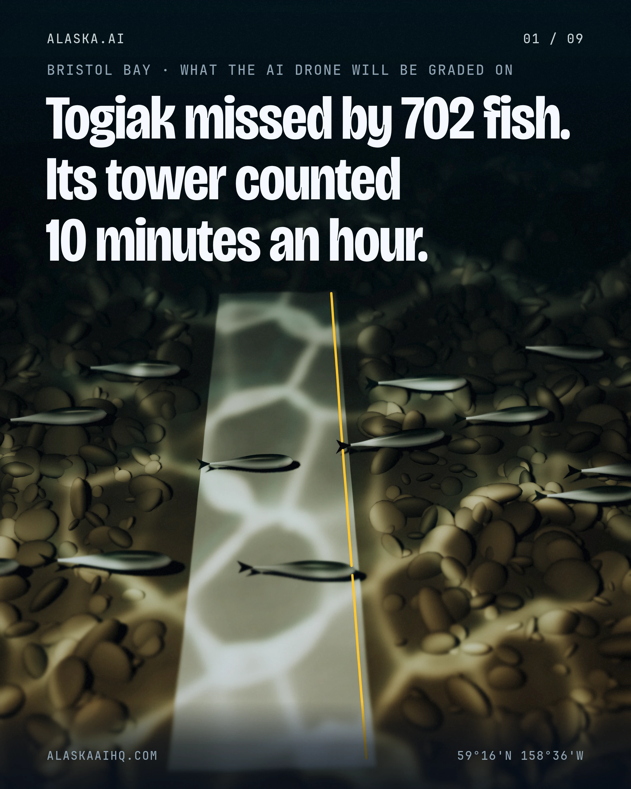 Togiak missed by 702 fish. Its tower counted 10 minutes an hour