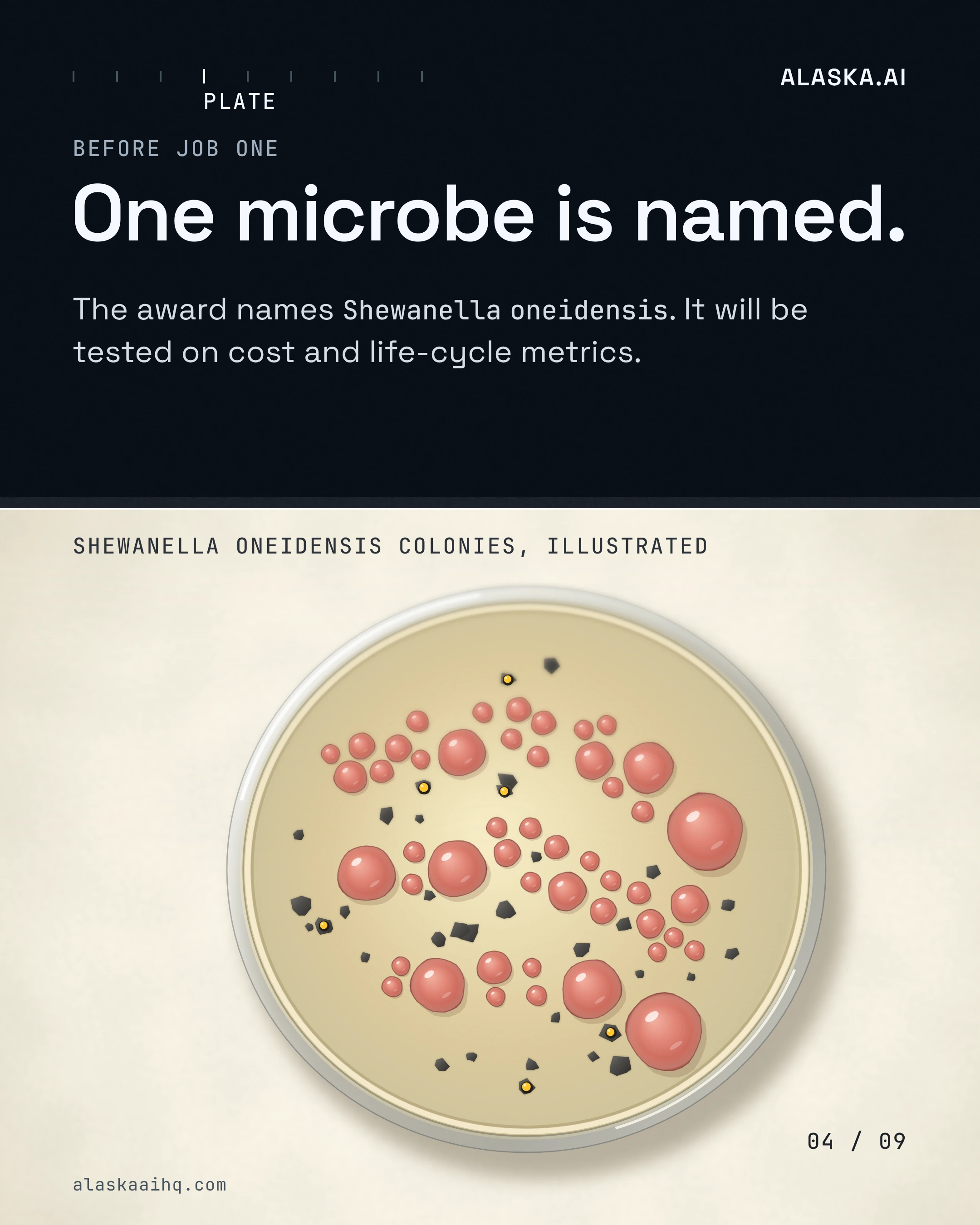 One microbe is named. The award names Shewanella oneidensis. It will be tested on cost and life-cycle metrics
