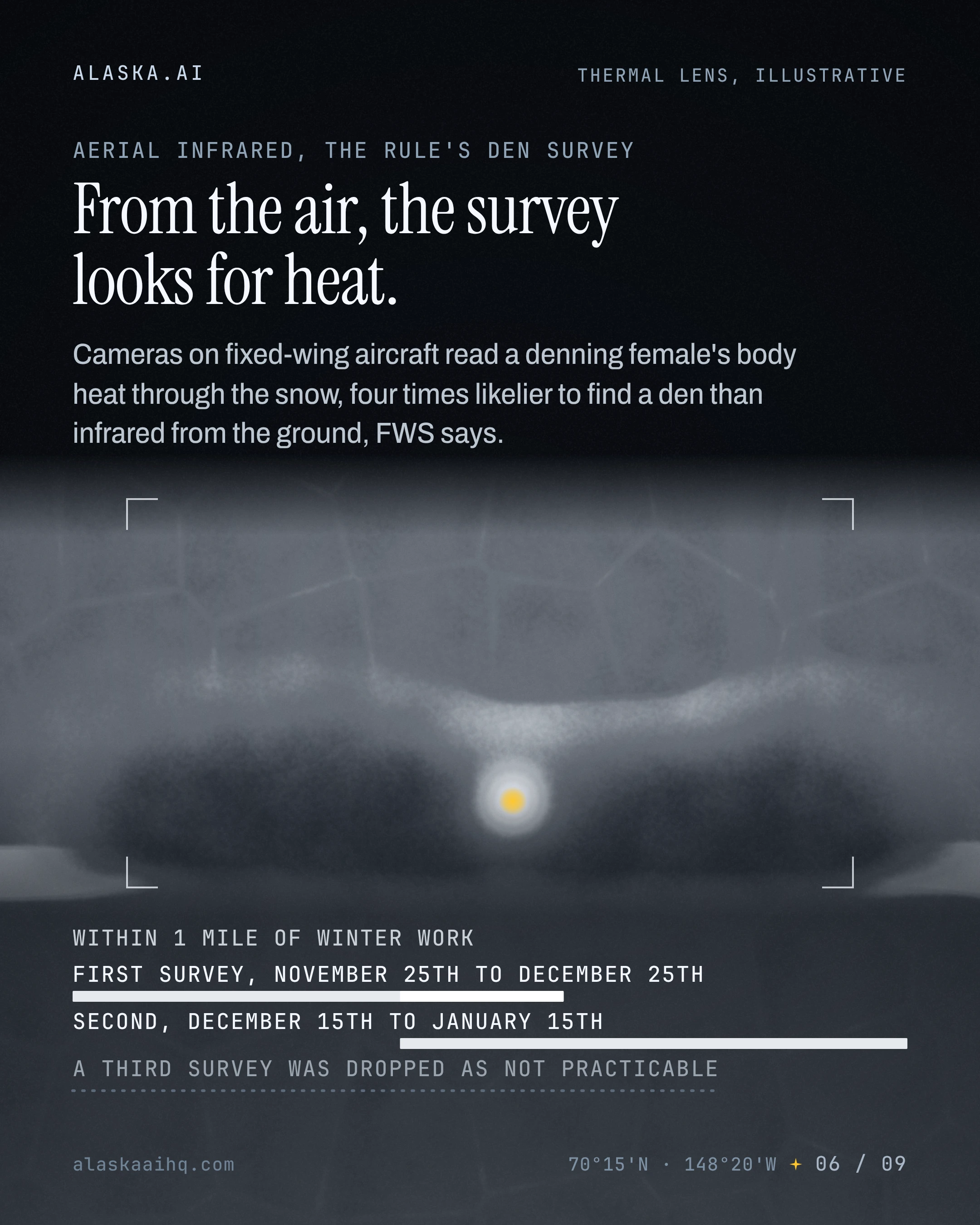 From the air, the survey looks for heat. Cameras on fixed-wing aircraft read a denning female's body heat through the snow, four times likelier to find a den