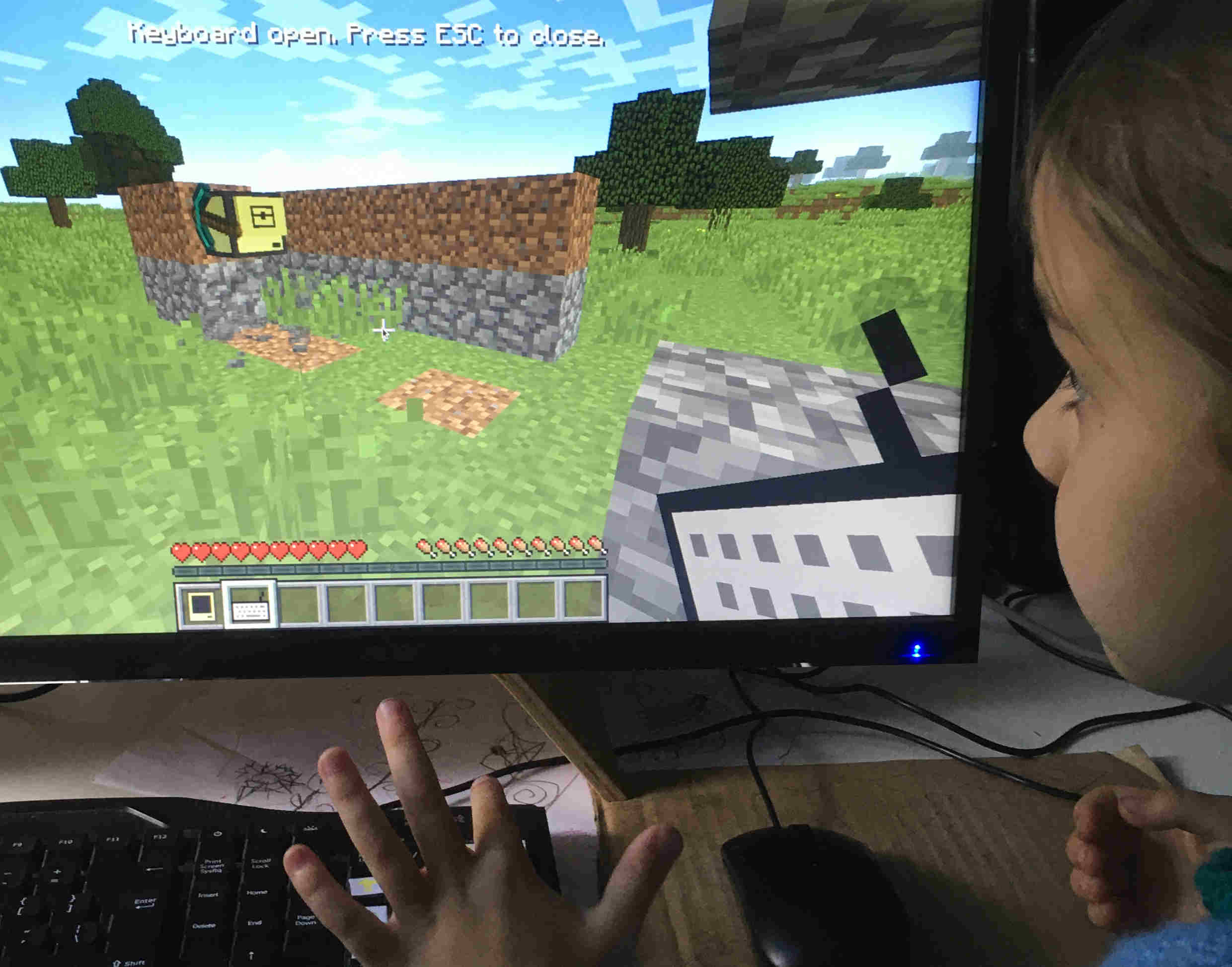 picture of child controlling computercraft turtle