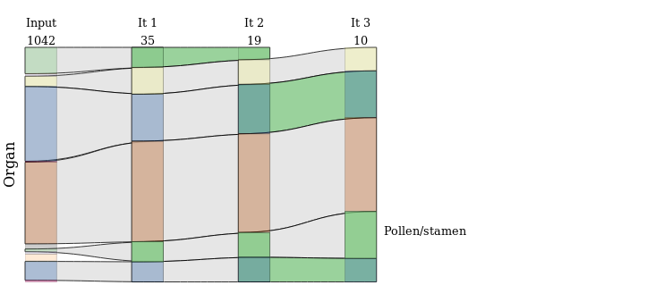 Sankey diagram of Organs metadats tought CoRGI iterations