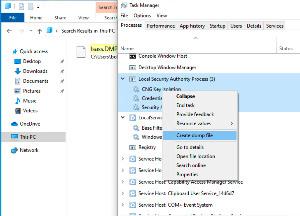 Task Manager Memory Dump