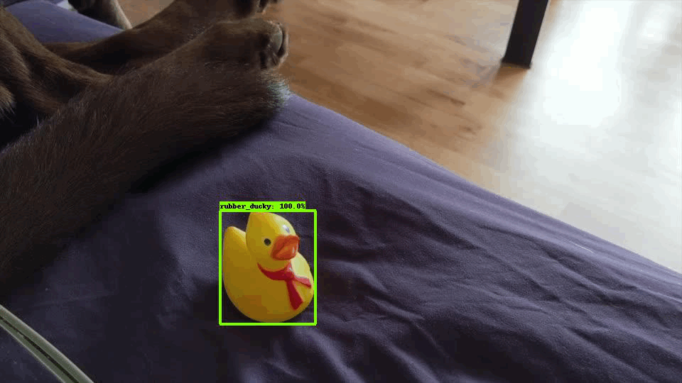 Duckies detection