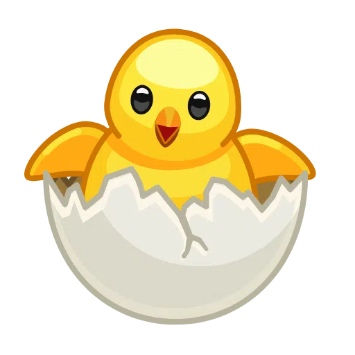 Hatching Chick