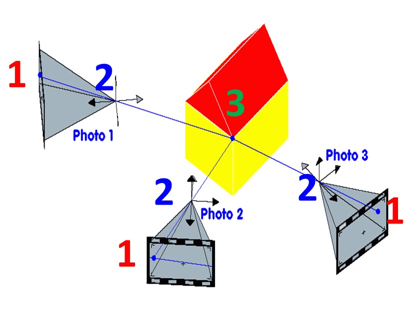 Collinearity entities schema