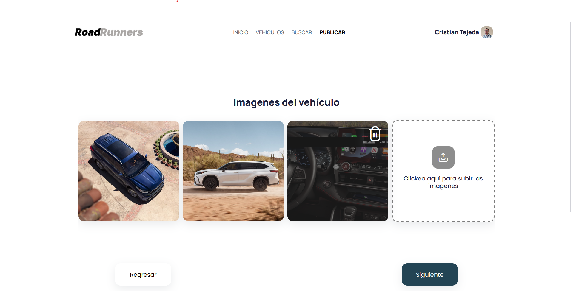 Preview al agregar Vehiculo