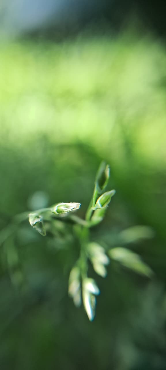 Gungun Arora photography
