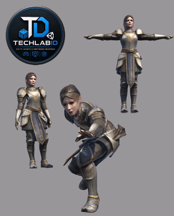 Female Knight Walk Character