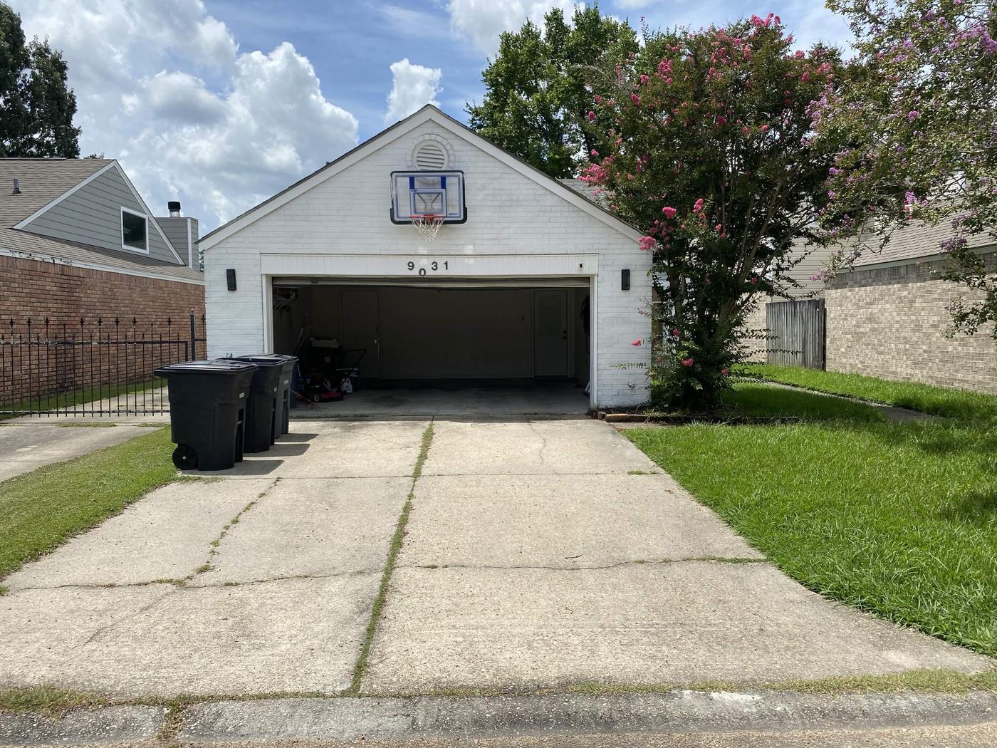 Driveway before cleanup