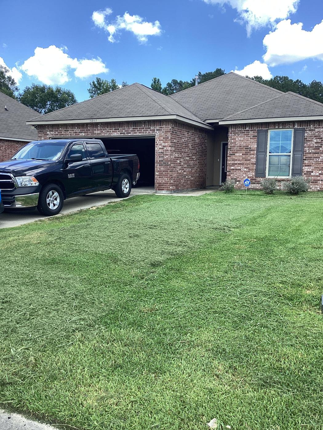 Front lawn after mowing
