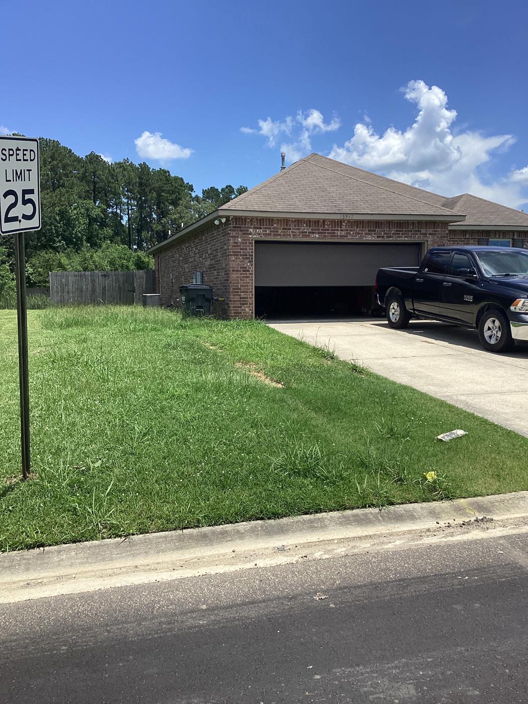 Front lawn before mowing