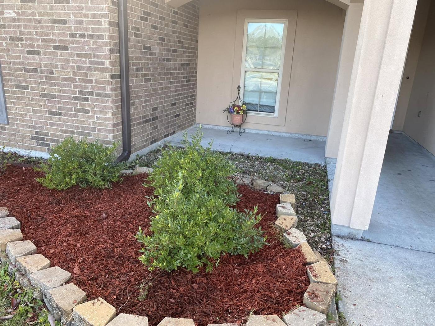 Close detail of clean lawn edging