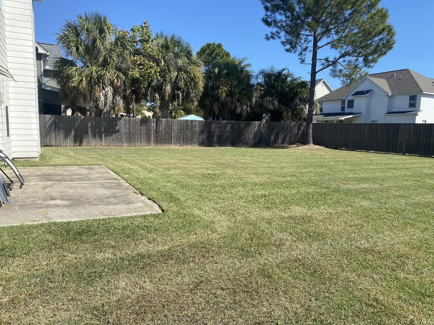 Freshly cut grass with mowing lines