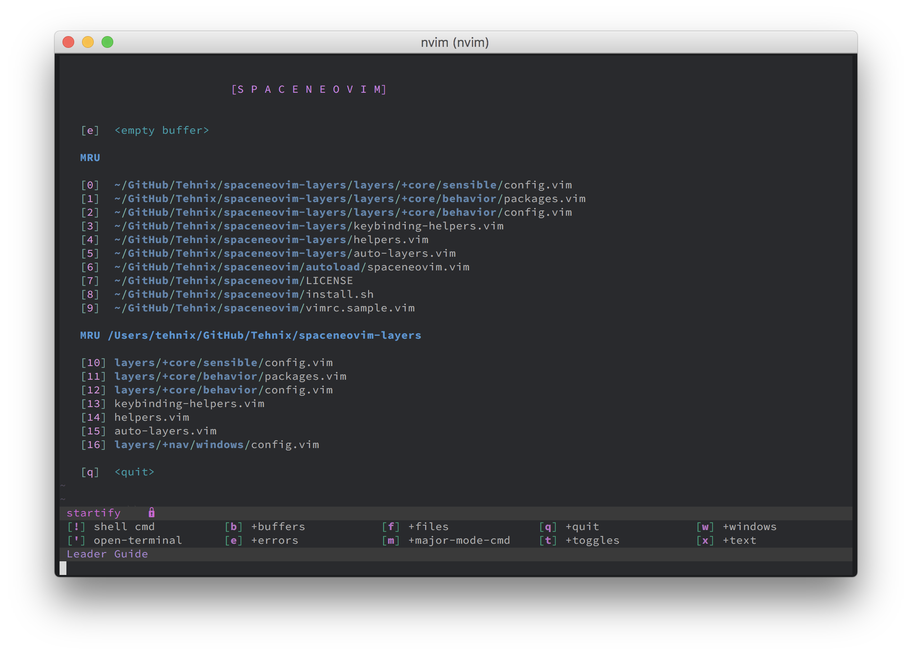 Screenshot of SpaceNeovim