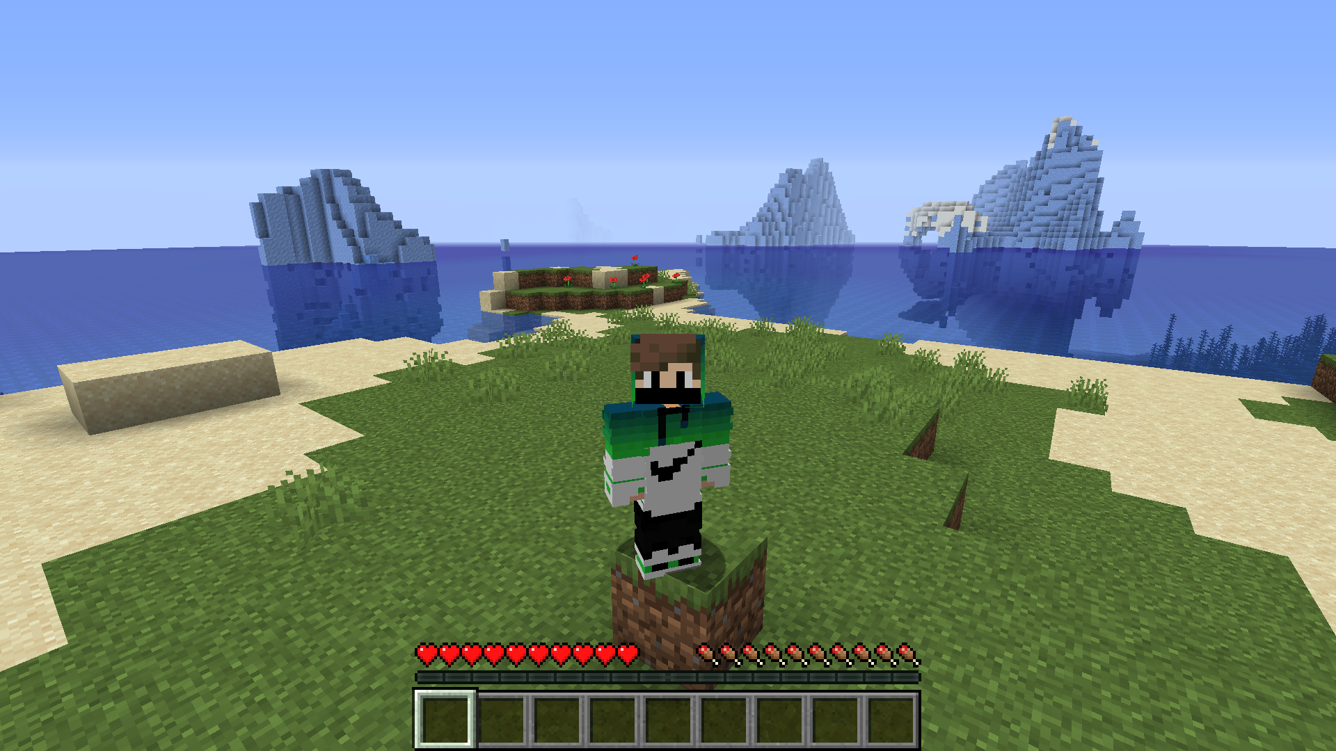 Minecraft Screenshot