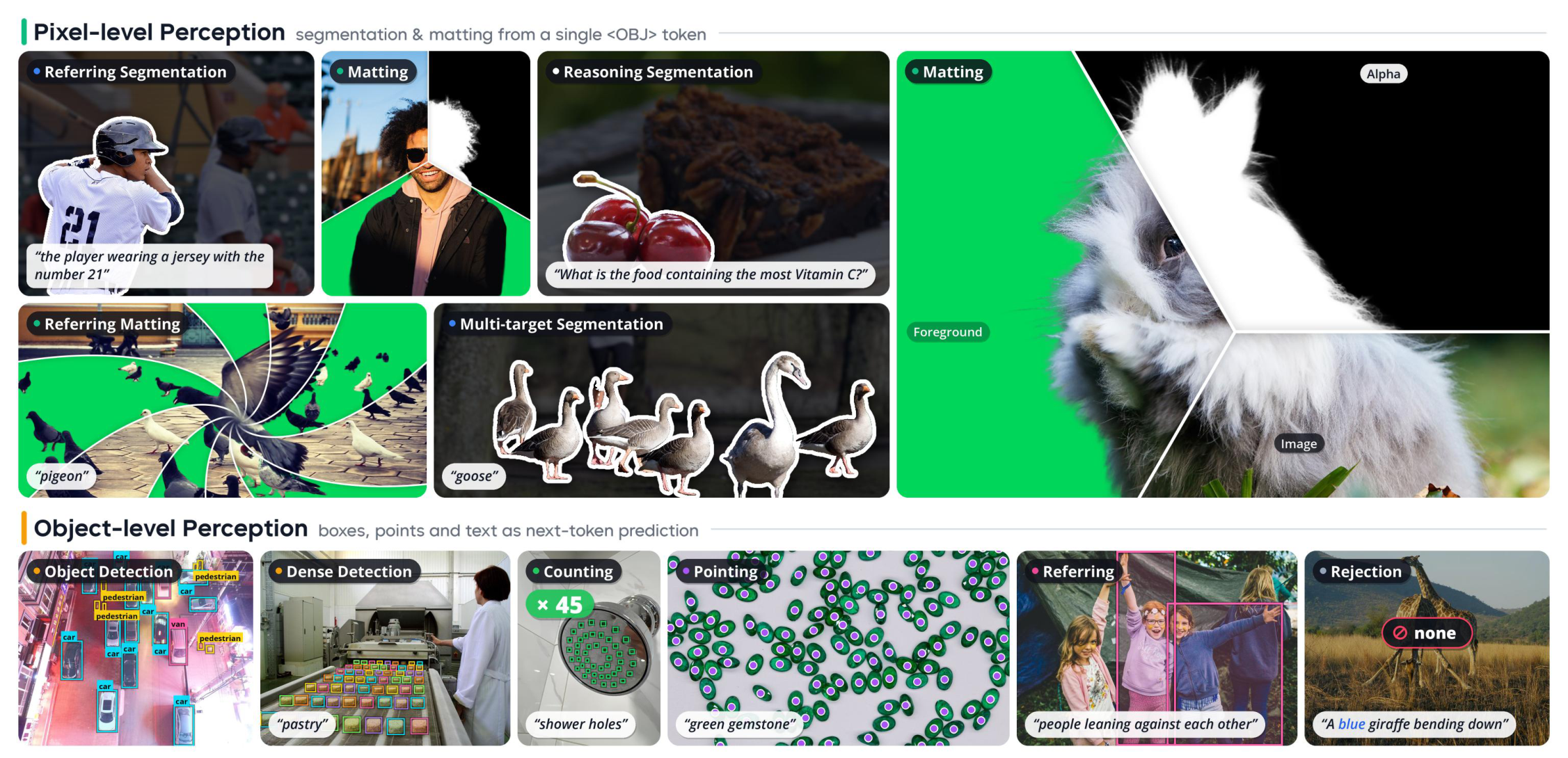 Overview figure of WeVisOne-VL showing its object-level and pixel-level perception tasks