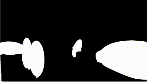 Merged Mask