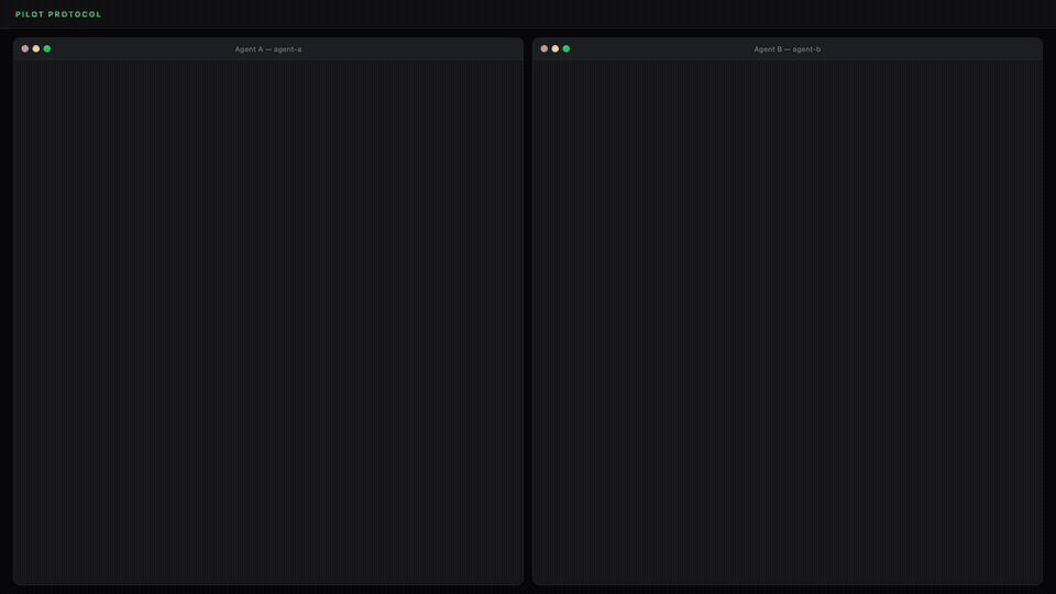 TeoSlayer/pilotprotocol cover