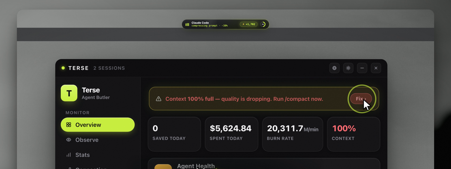 Terse Overview dashboard — agent health, spend, burn rate and context
