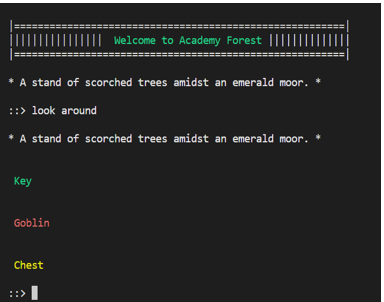 Academy Forest console view