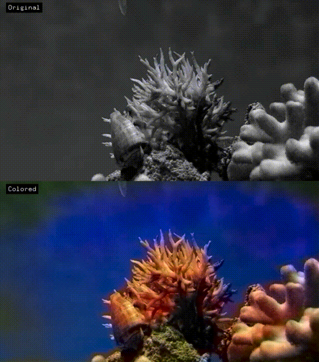 sample gif
