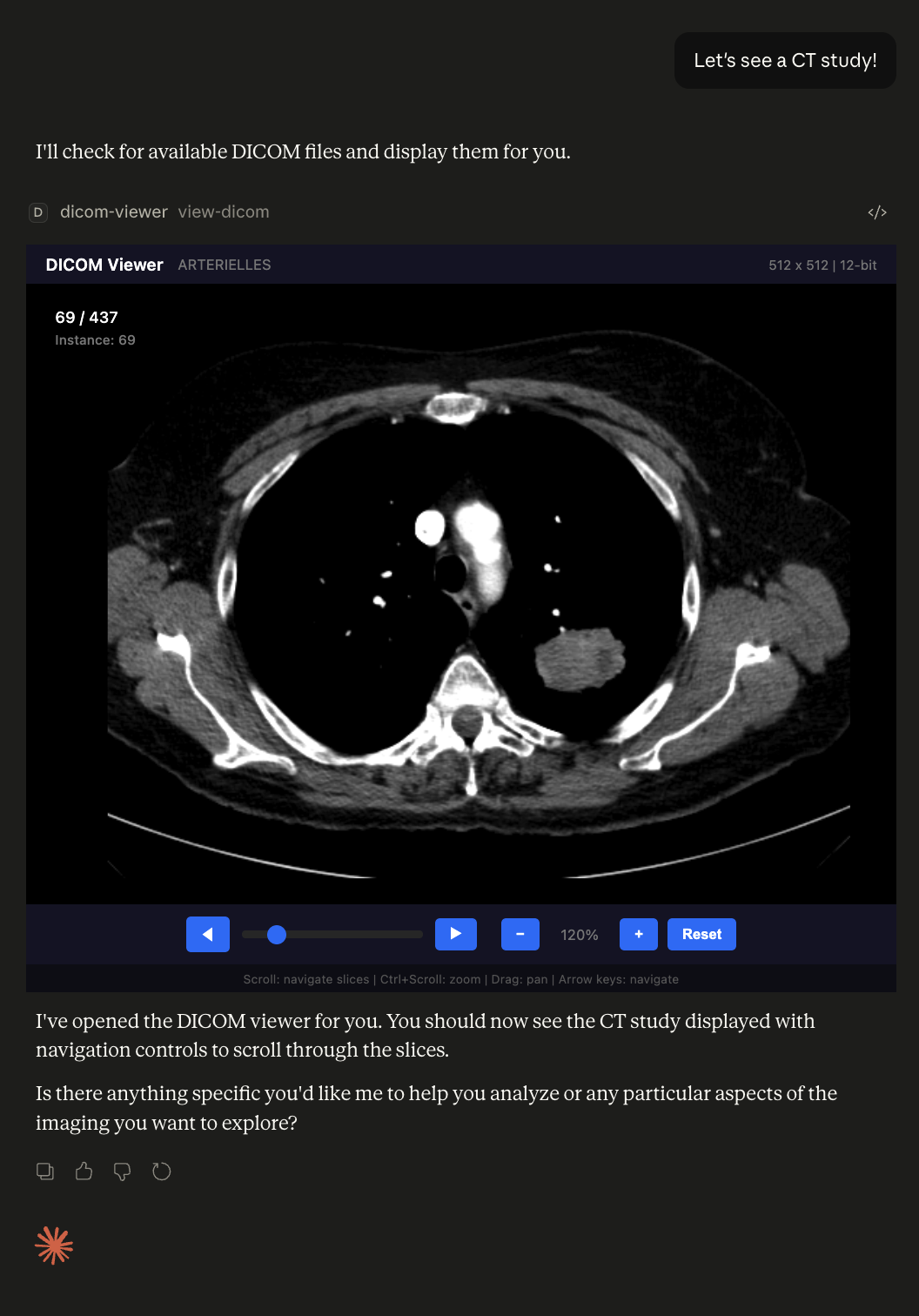 DICOM Viewer Screenshot